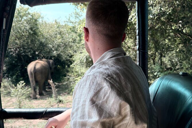 Yala National Park Safari FULLDAY and HALFDAY Expert Guided Tour - The Experience: What You Can Expect
