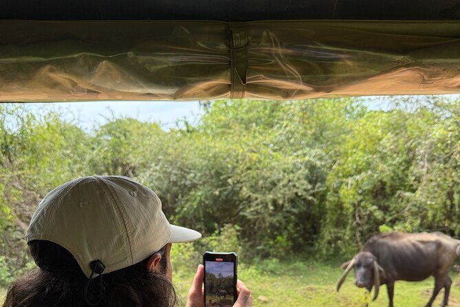 Yala National Park Safari FULLDAY and HALFDAY Expert Guided Tour - The Sum Up: Is This Tour Worth It?