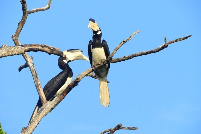 Yala National Park Safari Half Day and Full Day Tours - Pricing and Value for Money