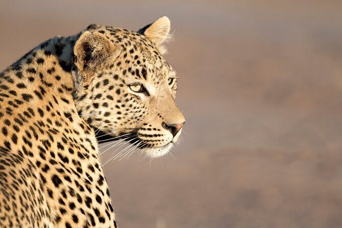 Yala National Park Safari Tours -Half Day & Full Day - The Sum Up