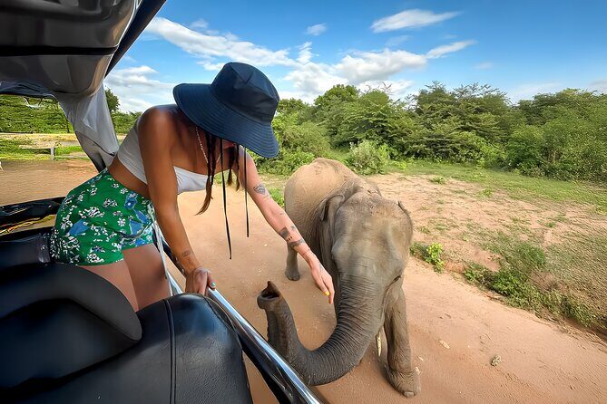 Yala National Park Shared Safari Tour Morning Evening & Full Day - Pricing & Value
