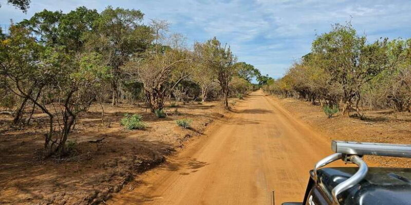 Yala National Park Wildlife safari from Mirissa - Key Points