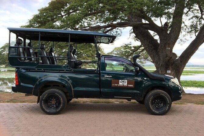 Yala National Park Wildlife Safari/ Game Drive - by Ajith Safari - What Makes This Safari Stand Out?