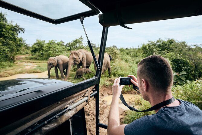 Yala National Park Wildlife Safari/ Game Drive - by Ajith Safari - Practical Tips for Your Yala Safari