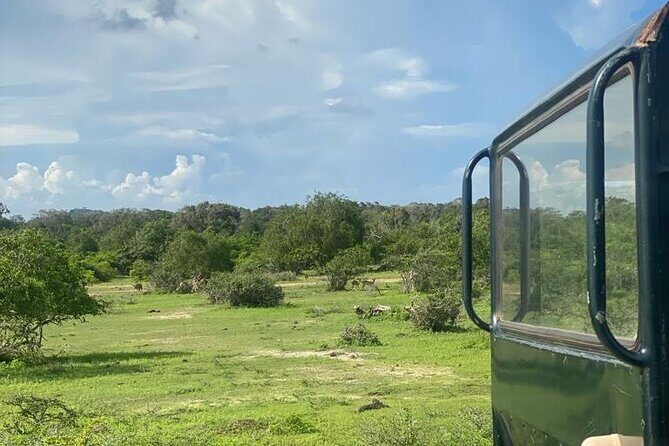 Yala Private Safari Jeep Half Day - Authentic Perspectives from Other Travelers