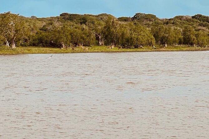 Yala Private Safari Jeep Half Day - FAQ