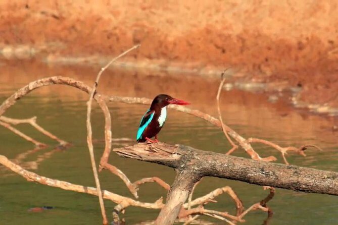 Yala Safari by Yala Safari Wonders - Pricing and Value