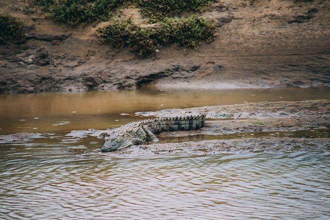 Yala Safari Private Day Trip with Return Transport -All Inclusive - Practical Details You Need to Know