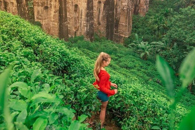 YALA SAFARI TOUR From Galle/Unawatuna/Mirissa/Matara/Tangalle - FAQ