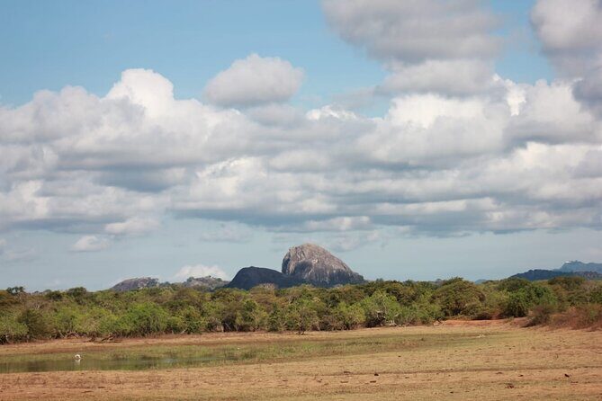 Yala safari Tours Morning /Afternoon /Fullday - Why This Tour Offers Real Value