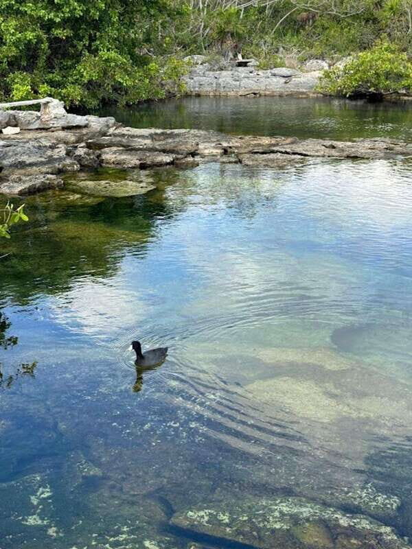 Yalku :Akumal snorkeling Muuch Kay Ecopark - Key Points