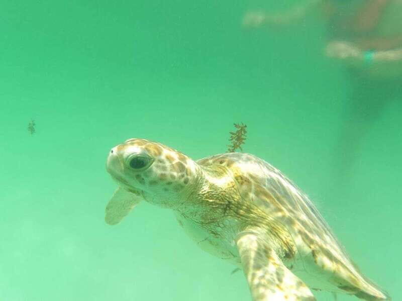 Yalku :Akumal snorkeling Muuch Kay Ecopark - What Makes Muuch Kay Ecopark Special?