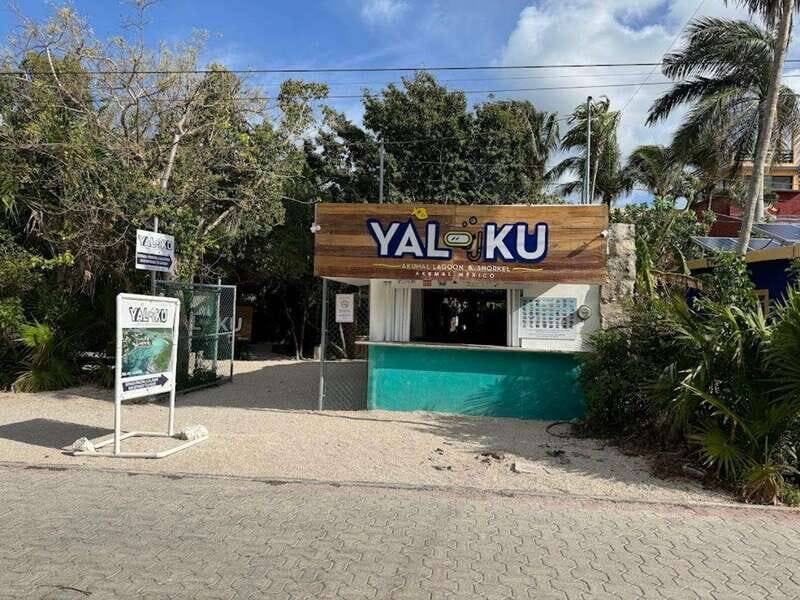 Yalku :Akumal snorkeling Muuch Kay Ecopark - Who Is This Tour Best For?
