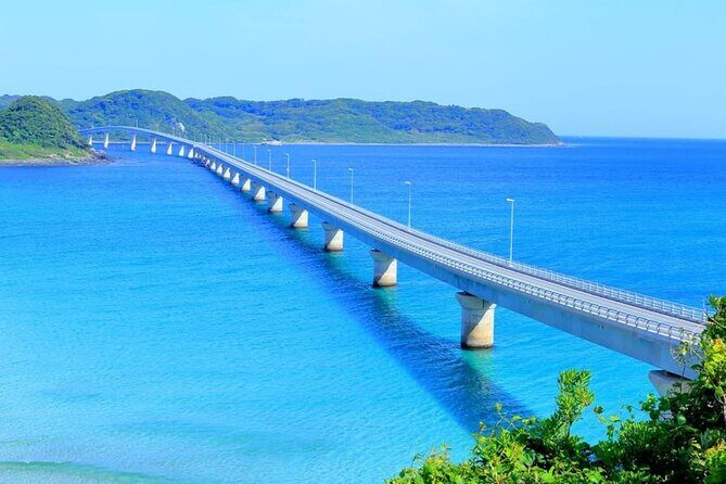 Yamaguchi Akiyoshido Cave and Shrine Day Tour From Fukuoka - The Sum Up