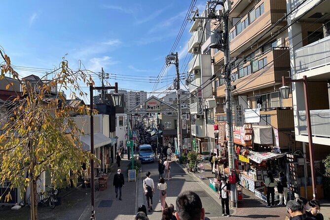Yanaka and Asakusa Walk around DOWNTOWN TOKYO like a local - Who Should Consider This Tour?