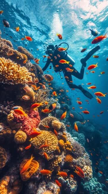 Yanbu: Beach Diving Experience with Instructor - Key Points