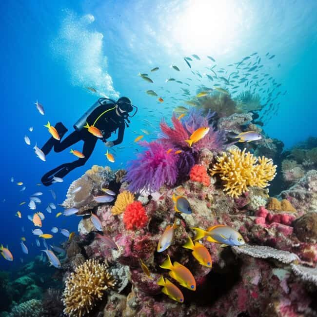 Yanbu: Beach Diving Experience with Instructor - An In-Depth Look at the Yanbu Beach Diving Experience