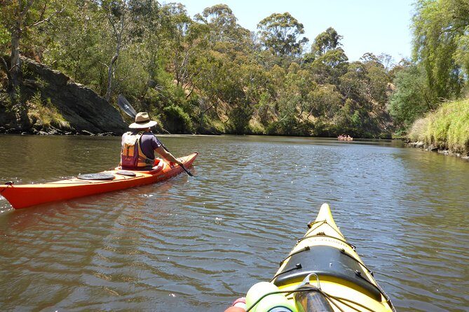 Yarra River Kayak Hire - The Itinerary: What to Expect from Start to Finish