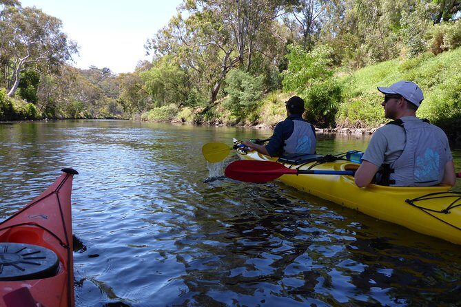 Yarra River Kayak Hire - Pricing and Value