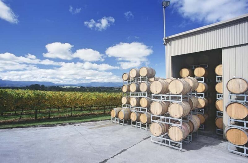Yarra Valley and Dandenong Ranges: Scenic Bus Tour and Lunch - An In-Depth Look at the Tour Experience