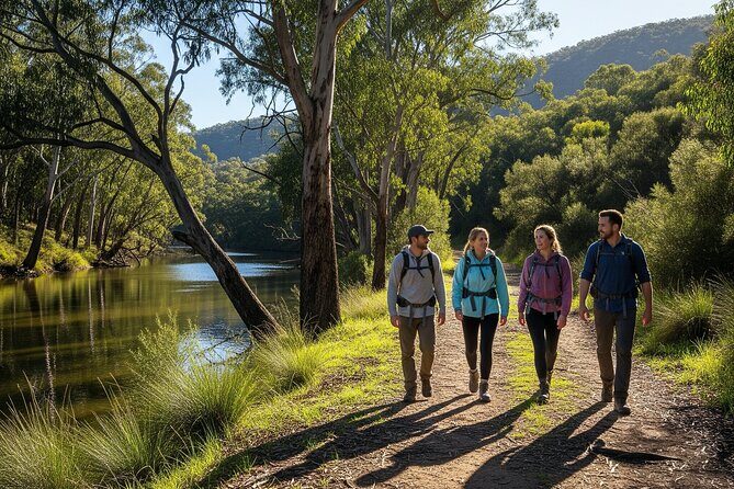 Yarra Valley by night! Private wine, whisky and dinner tour - Who Should Consider This Tour?