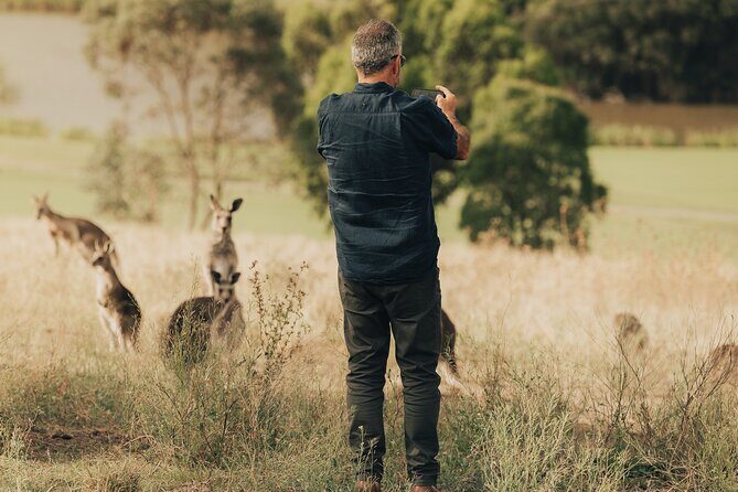 Yarra Valley by night! Private wine, whisky and dinner tour - The Sum Up