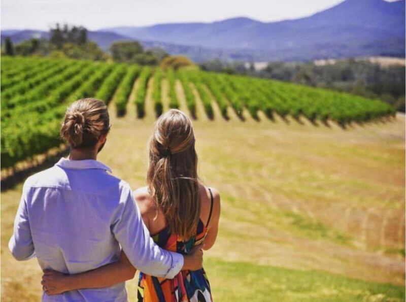 Yarra Valley Foodies Tour with Chandon and Kangaroo Safari! - Yarra Valley Dairy: Cheese & Strawberry Tasting