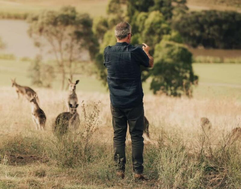 Yarra Valley Foodies Tour with Chandon and Kangaroo Safari! - Return to Melbourne