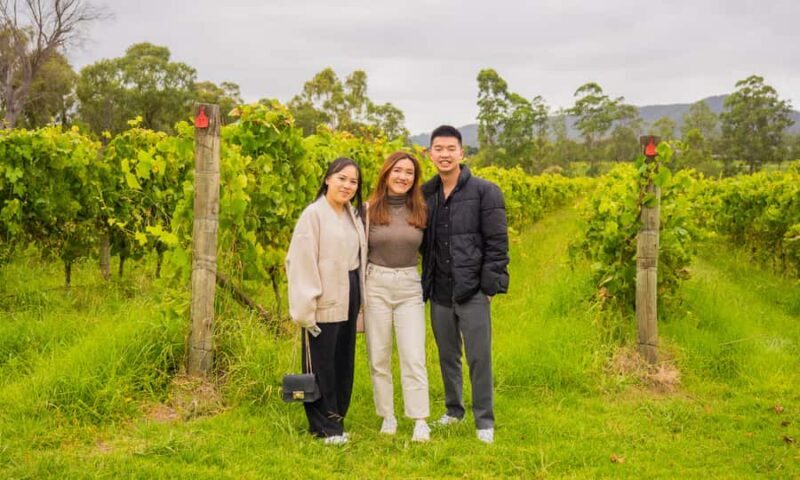 Yarra Valley Full Day Grazing Tour: Gin, Wine, Pizza, Cheese - The Sum Up