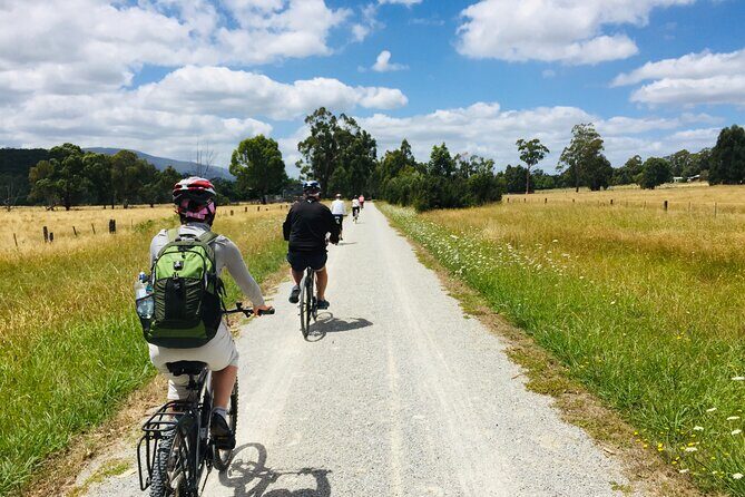 Yarra Valley Guided Bike Tour | Food & Wine Region - The Experience: What It Means for You
