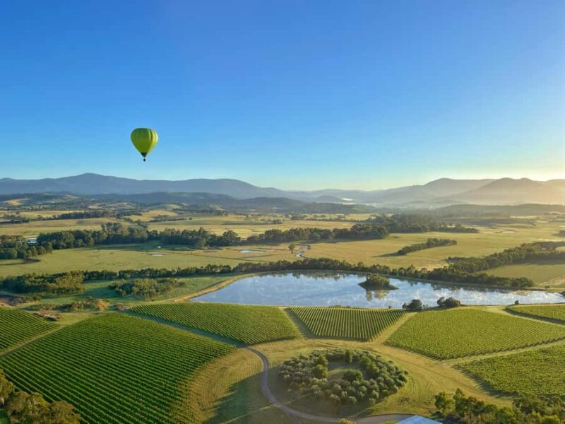 Yarra Valley: Hot Air Balloon with Breakfast & CBD Transfers - Insights from Reviews and Practical Tips