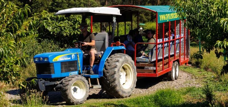 Yarra Valley: Orchard Tractor Tour with Fruit Tasting - Introduction: What to Expect from the Orchard Tractor Tour