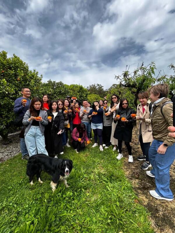Yarra Valley: Orchard Tractor Tour with Fruit Tasting - FAQ