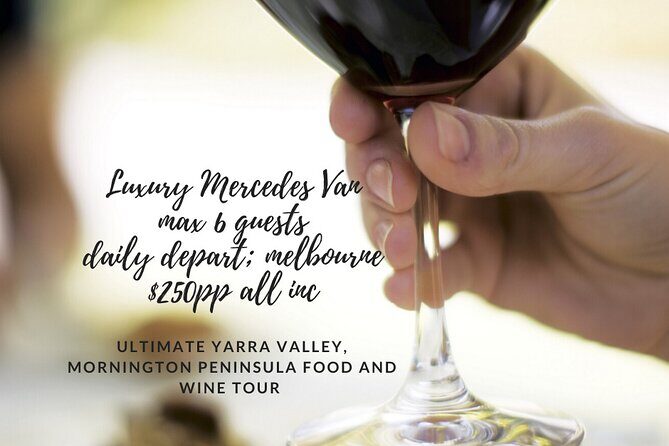 Yarra Valley Premium Tour Lunch and Sparkling Wine Tasting at Domaine Chandon - The Value of This Tour