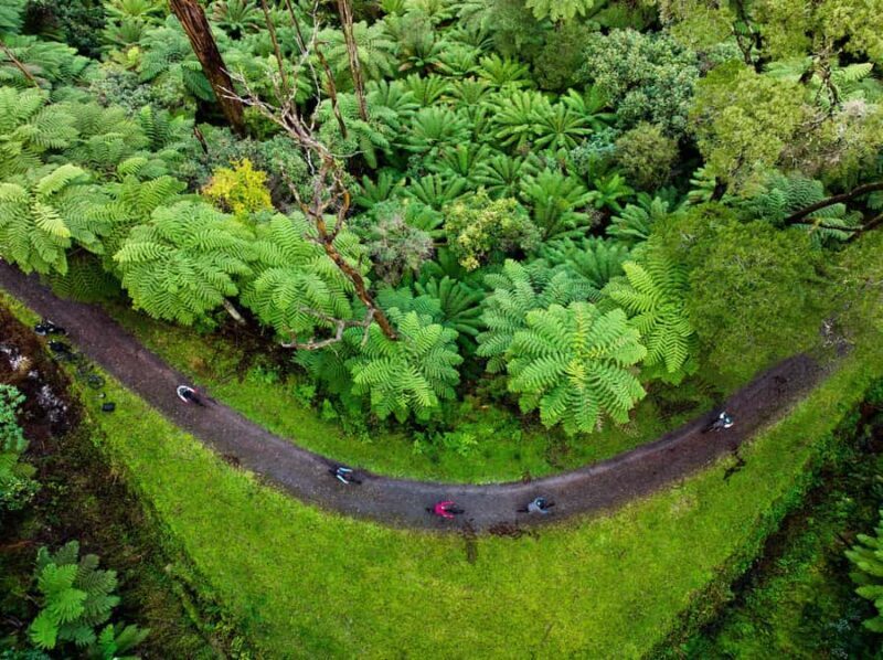 Yarra Valley: Redwood Forest Mountain Bike Adventure - The Practicalities: What’s Included and What to Bring