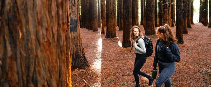 Yarra Valley | Redwoods, Wildlife, Wine, Chocolate - Key Points