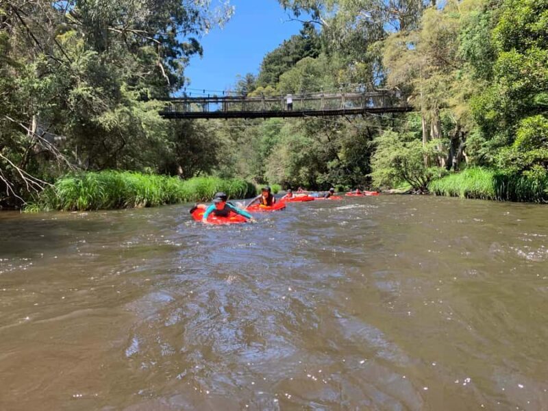 Yarra Valley: Self-Guided River Sledding Adventure - The Setting: A Scenic Stretch of the Yarra River