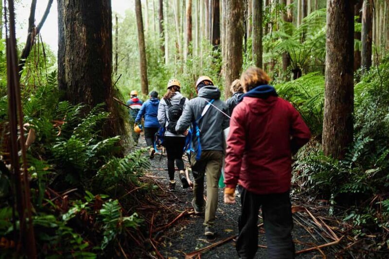 Yarra Valley: Seven Acre Rock Abseiling Adventure - Logistics and Practical Details