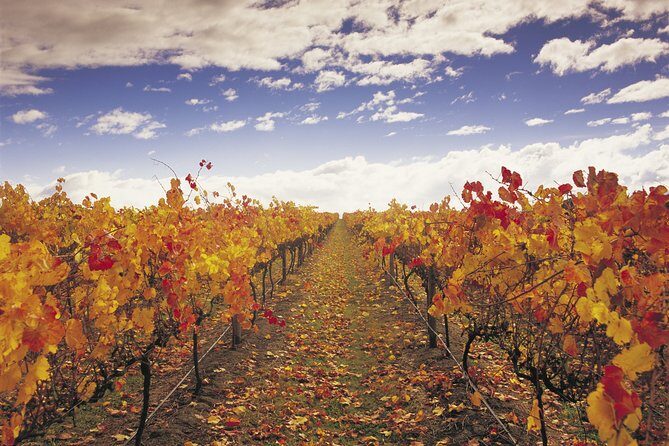 Yarra Valley Wildlife & Wine Day Tour with Healesville Sanctuary - FAQ