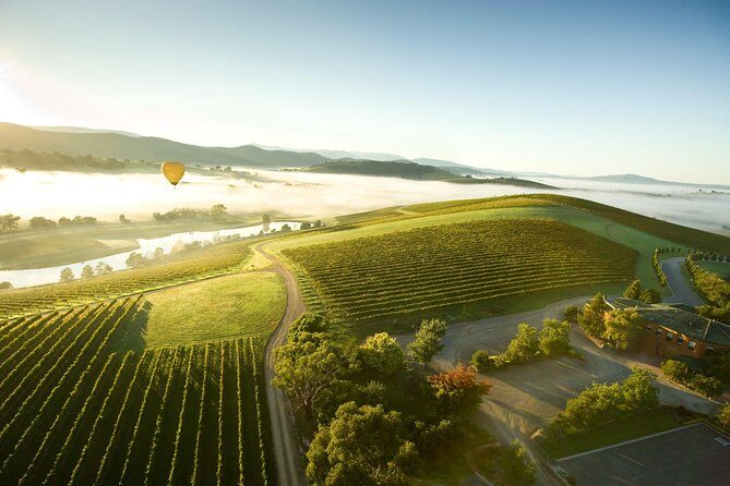 Yarra Valley Wine Day Tour - What’s the Experience Like?