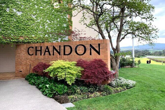Yarra Valley Wine Tasting Private Tours - Exploring the Yarra Valley: Why It’s a Top Wine Destination
