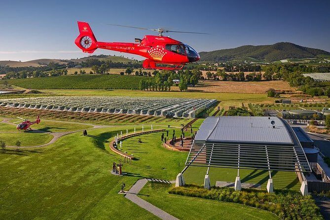 Yarra Valley Wine & Wildlife - Private Regional Tour - An In-Depth Look at the Yarra Valley Private Tour