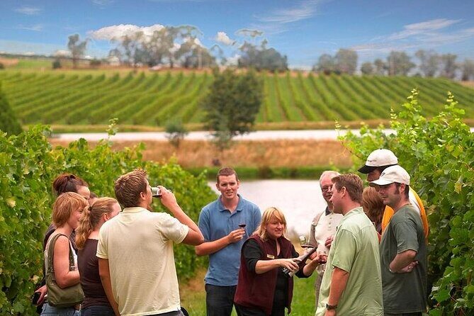 Yarra Valley Wine & Winery Tour from Melbourne - All Inclusive! - An Honest Look at the Yarra Valley Wine & Winery Tour from Melbourne