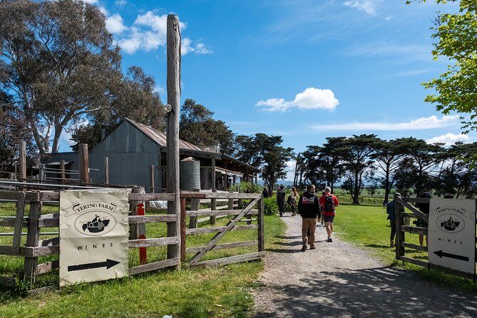 Yarra Valley Wine & Winery Tour from Melbourne - All Inclusive! - Key Points