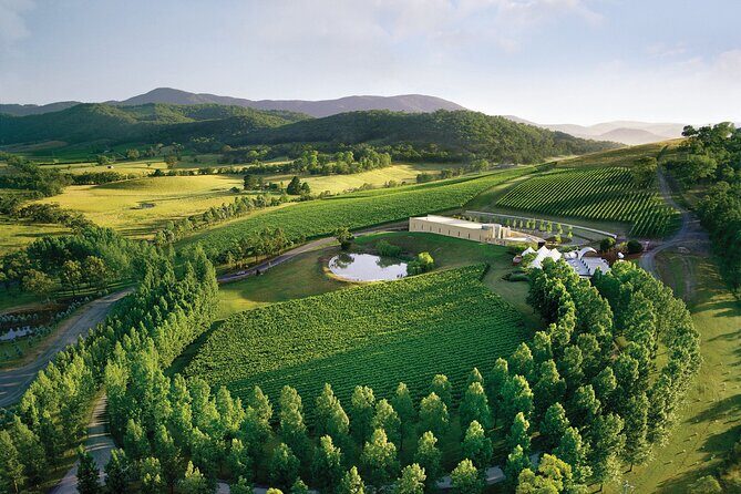 Yarra Valley Wineries Private Day Tour - An Overview of the Yarra Valley Wineries Private Day Tour