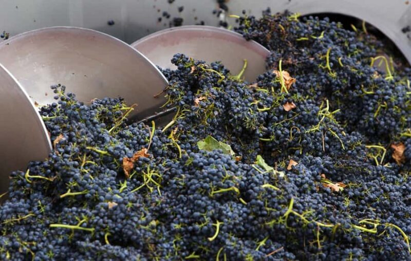 Yarra Valley: Winery Tour with Lunch at Yering Station - Who Is This Tour Best For?