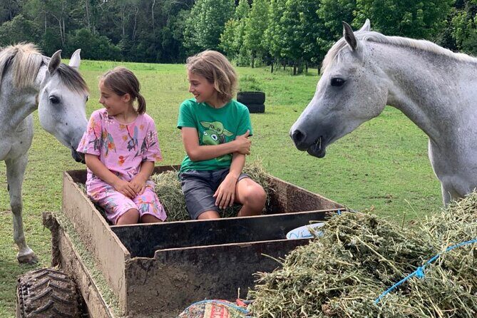 Yarramalong Valley Horse Farm Tours - FAQs