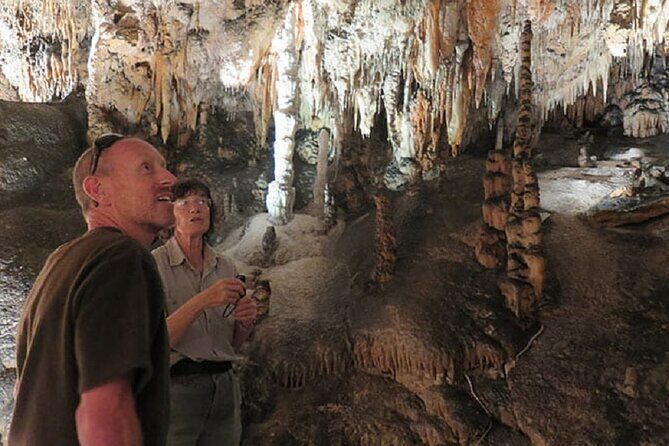 Yarrangobilly Caves: Jersey Cave Guided Tour - Introduction