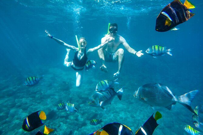 Yelapa Waterfall, BBQ at Exclusive Majahuitas Beach & Open bar - The Sum Up: Is It Worth It?
