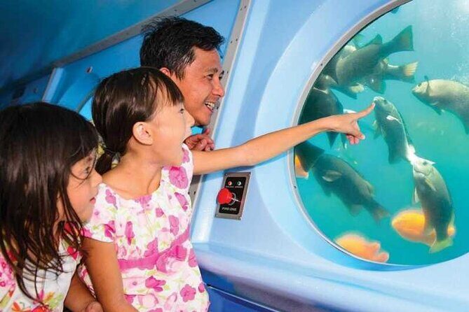 Yellow Semi-Submarine Tour of Catalina Island From Avalon - The Practicalities: Timing, Costs, and Booking
